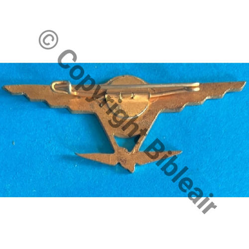 288eCIE AEROSTIERS OBS (motoballon)  SM Bol fenetre Dos lisse irreg Src.mesnil01 351Eur05.25 